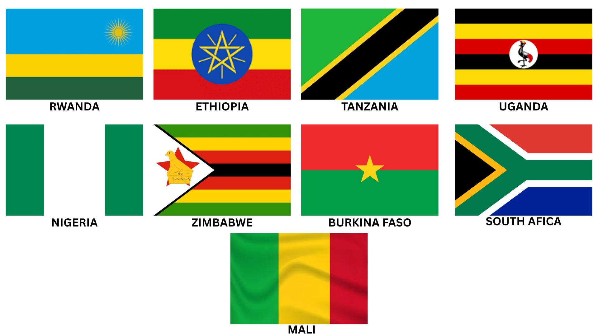 PPH Advocacy becomes a Pan African movement: Continental PPH Run, 2025