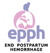Government Makes Strides in Ending Postpartum Haemorrhage; Jamhuri Day, 12 December 2025