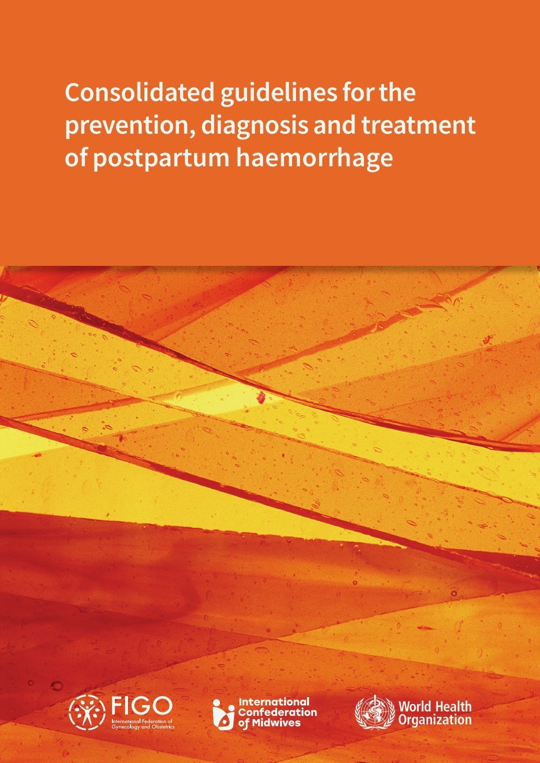 Global Solidarity in Shaping Maternal Health Policy