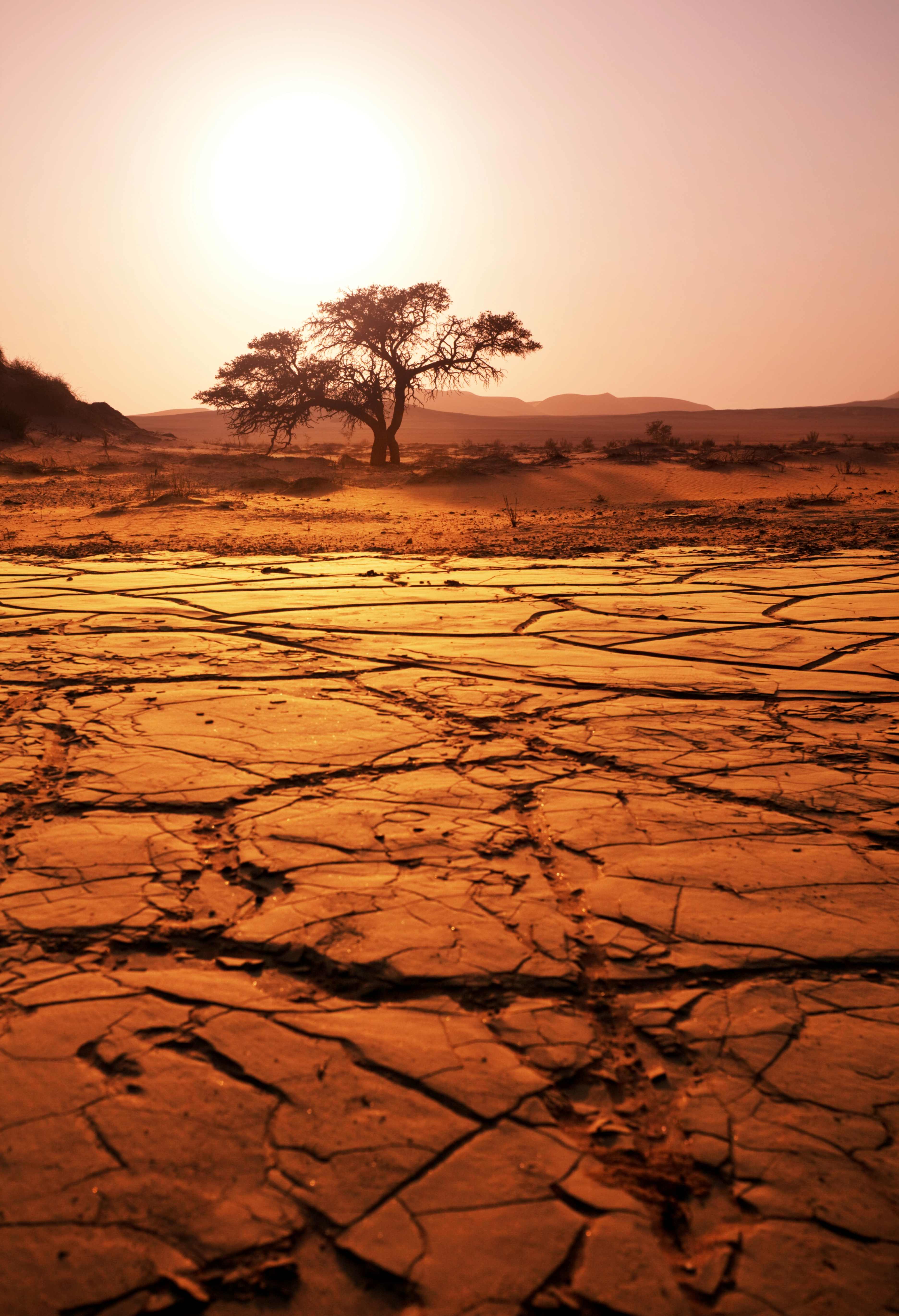 Postpartum Haemorrhage and Rising Heat, why extreme temperatures put mothers at greater risk